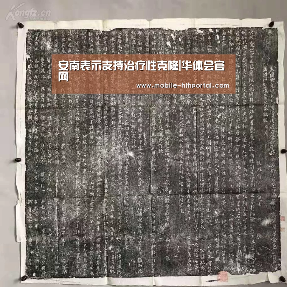 华体会